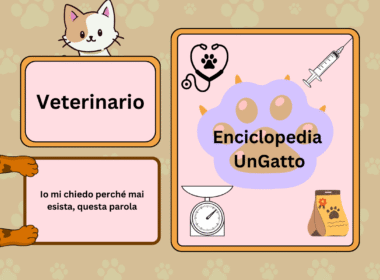 Enciclopedia UnGatto: Veterinario