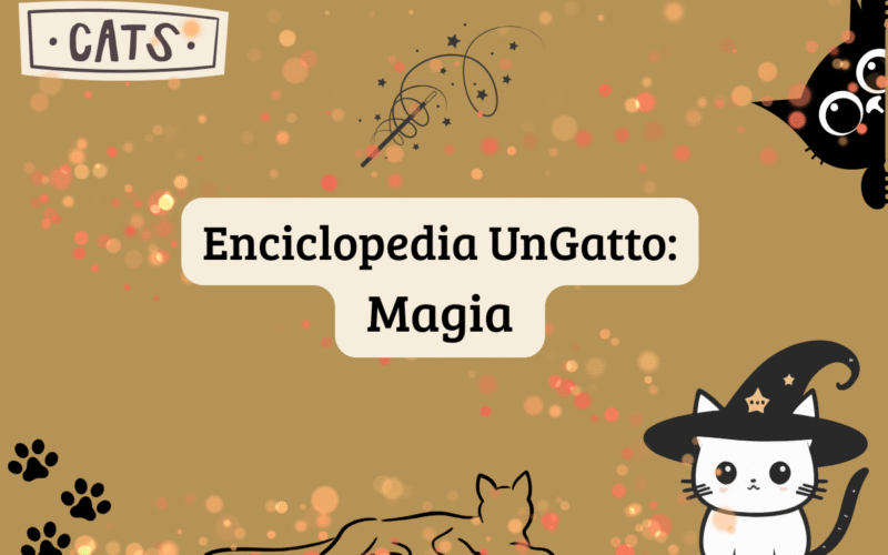 Enciclopedia UnGatto: Magia