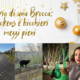 Diario di una Brocca: Dickens e bicchieri mezzi pieni