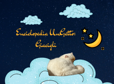 Enciclopedia UnGatto: Giacigli
