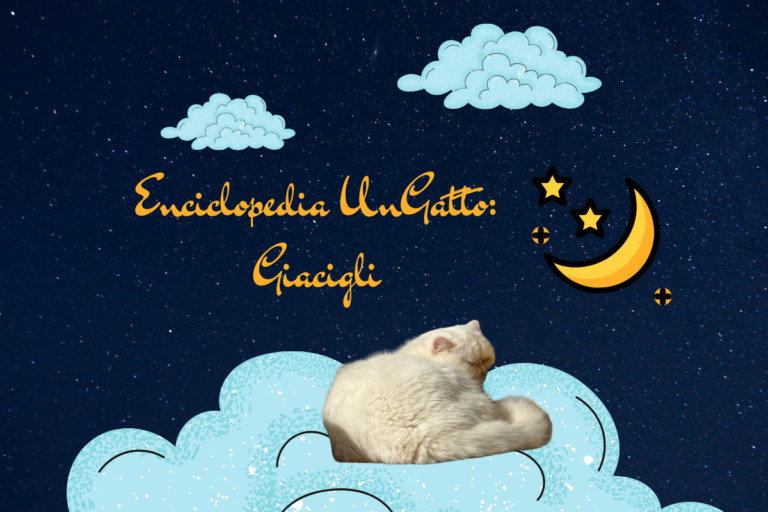 Enciclopedia UnGatto: Giacigli