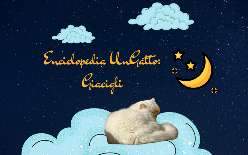 Enciclopedia UnGatto: Giacigli