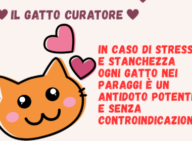 Il gatto curatore