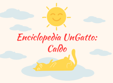 Enciclopedia UnGatto: Caldo