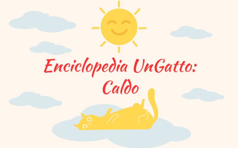 Enciclopedia UnGatto: Caldo