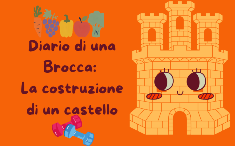 Diario di una Brocca: La costruzione di un castello