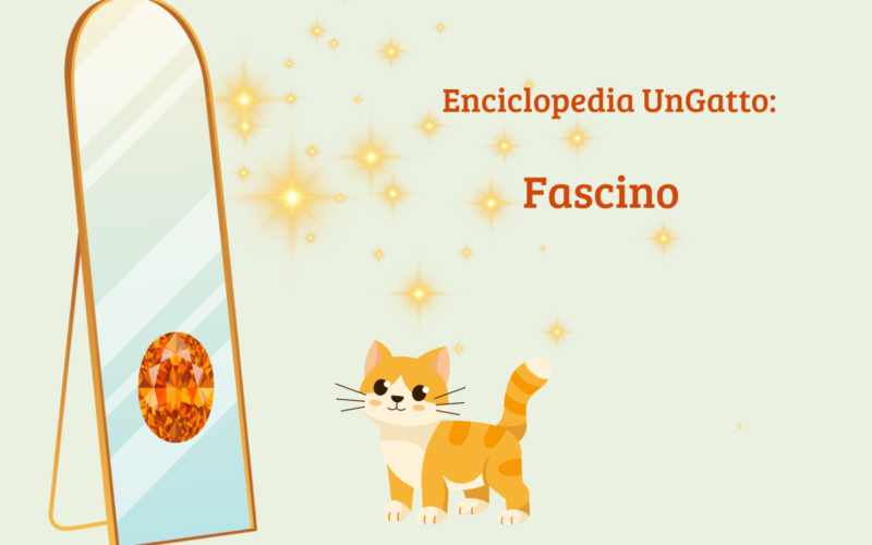 Enciclopedia UnGatto: Fascino
